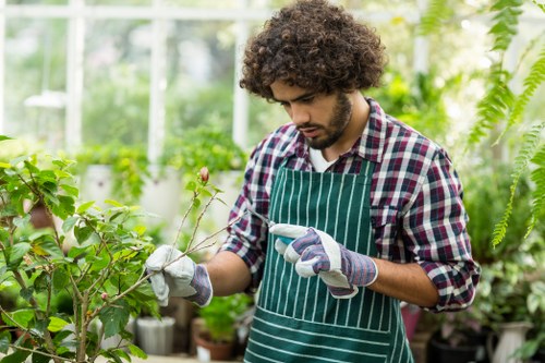 Gardener working in an Earls Court terrace front garden with tools
