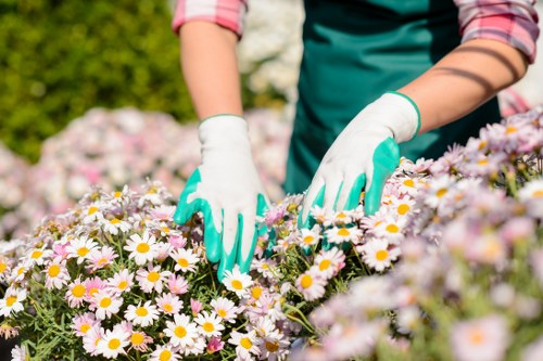 Low-emission electric vans loading segregated gardening waste