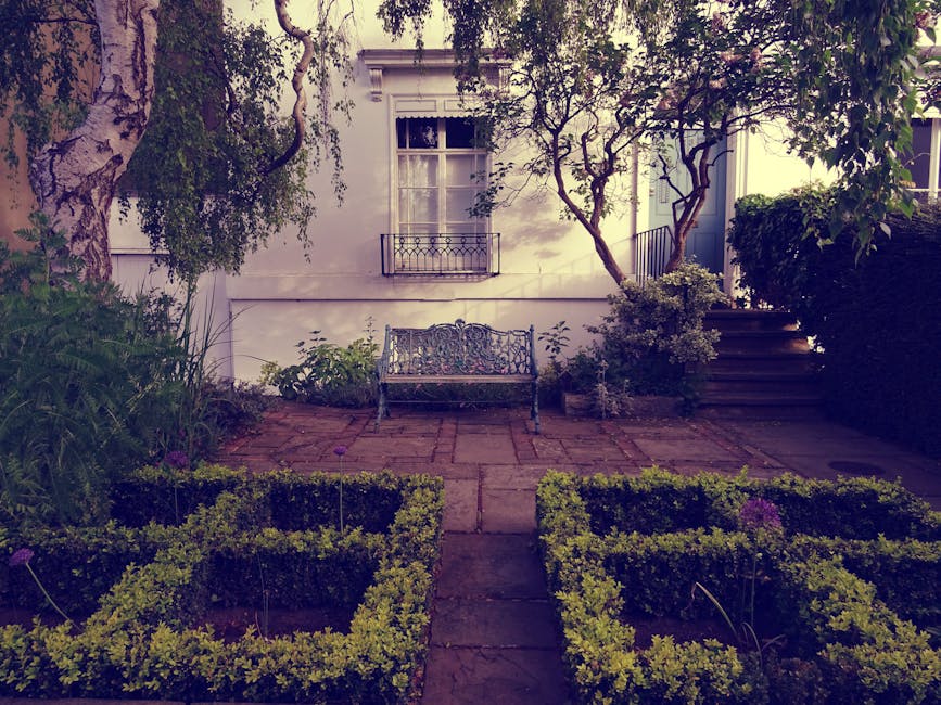 A small, neatly maintained front garden featuring a central paved pathway bordered by low, trimmed box hedges. To the left, there are lush green plants and tall grasses, with a large, leafy tree exten